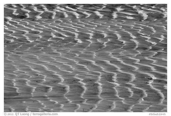 Mud flat close-up. Big Bend National Park, Texas, USA.