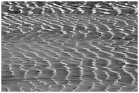 Mud flat close-up. Big Bend National Park, Texas, USA. (black and white)