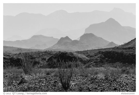 Desert and hazy Chisos Mountains. Big Bend National Park, Texas, USA.