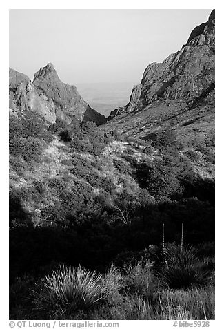 The Window, a V-opening through Chisos Basin. Big Bend National Park (black and white)