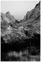 The Window, a V-opening through Chisos Basin. Big Bend National Park ( black and white)