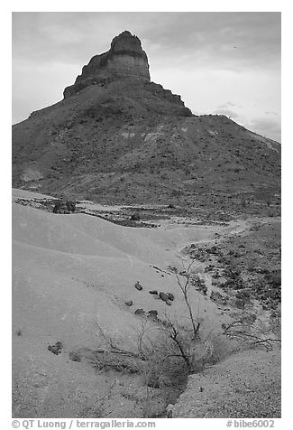 Volcanic tower near Tuff Canyon. Big Bend National Park, Texas, USA.