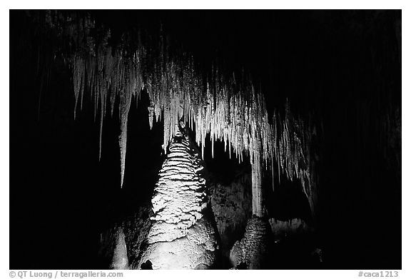 Stalactites and columns in big room. Carlsbad Caverns National Park (black and white)