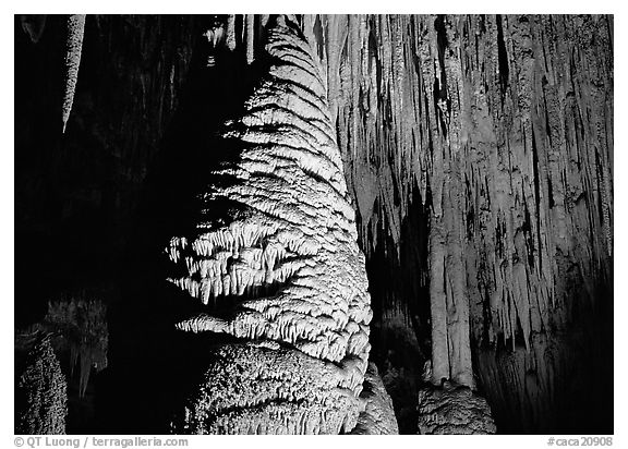 Large stalagmite column and thin stalagtites. Carlsbad Caverns National Park, New Mexico, USA.