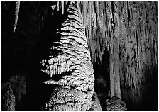 Large stalagmite column and thin stalagtites. Carlsbad Caverns National Park, New Mexico, USA. (black and white)