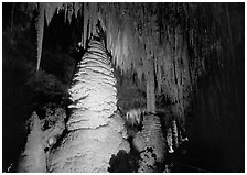 Stalagmite and stalagtites draperies. Carlsbad Caverns National Park, New Mexico, USA. (black and white)