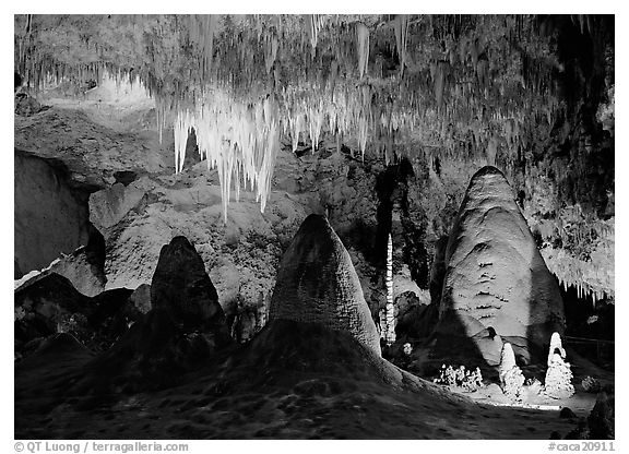 Stalagtite chandelier and stubby stalagmites. Carlsbad Caverns National Park (black and white)