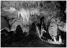 Stalagtite chandelier and stubby stalagmites. Carlsbad Caverns National Park, New Mexico, USA. (black and white)