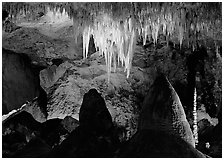 Stalactites in Big Room. Carlsbad Caverns National Park, New Mexico, USA. (black and white)