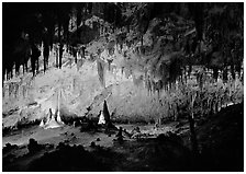 Papoose Room. Carlsbad Caverns National Park, New Mexico, USA. (black and white)