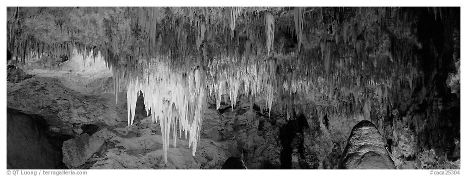 Cave roof with stalactites in Big Room. Carlsbad Caverns National Park (black and white)