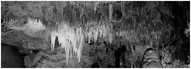 Cave roof with stalactites in Big Room. Carlsbad Caverns National Park (Panoramic black and white)