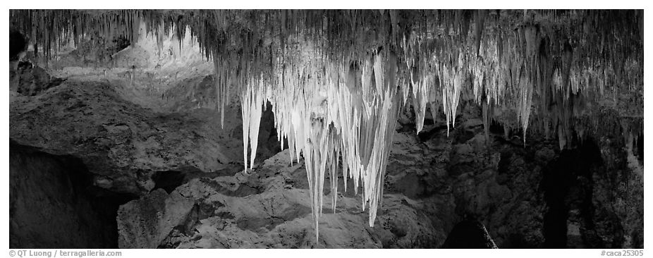 Stalactite Chandelier. Carlsbad Caverns National Park (black and white)