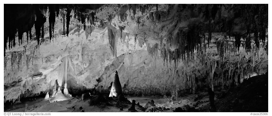 Delicate cave formations in Papoose Room. Carlsbad Caverns National Park (black and white)