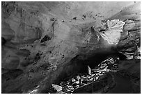 Large cave room and natural entrance. Carlsbad Caverns National Park ( black and white)