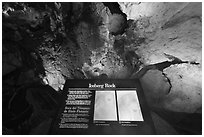 Iceberg Rock and interpretative sign. Carlsbad Caverns National Park, New Mexico, USA. (black and white)