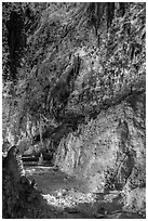 Fine stalactite draperies. Carlsbad Caverns National Park, New Mexico, USA. (black and white)