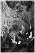 Massive speleotherms. Carlsbad Caverns National Park, New Mexico, USA. (black and white)