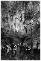 Chandelier and tall stalagmites, Big Room. Carlsbad Caverns National Park, New Mexico, USA. (black and white)