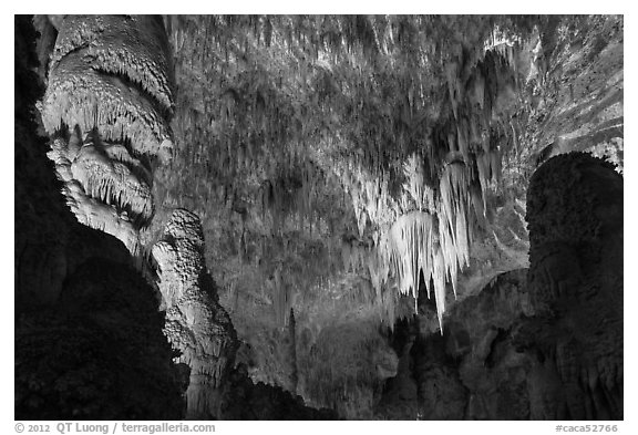 Massive stalagmites and chandelier, Big Room. Carlsbad Caverns National Park (black and white)