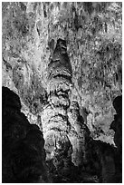 Massive stalagmites and delicate stalagtites, Big Room. Carlsbad Caverns National Park, New Mexico, USA. (black and white)