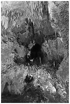 Lower Cave seen from jumping off place. Carlsbad Caverns National Park, New Mexico, USA. (black and white)