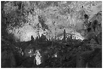 Fairyland, Big Room. Carlsbad Caverns National Park, New Mexico, USA. (black and white)