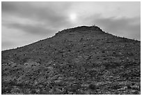 Hill with burned vegetation and sun shining through smoke. Carlsbad Caverns National Park, New Mexico, USA. (black and white)