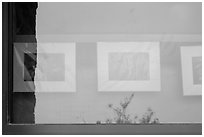 Shrub and cave pictures, visitor center window reflexion. Carlsbad Caverns National Park, New Mexico, USA. (black and white)