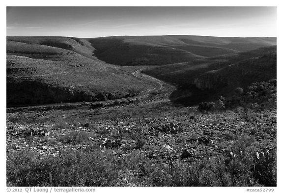 Walnut Canyon and road from above. Carlsbad Caverns National Park (black and white)