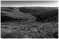 Walnut Canyon and road from above. Carlsbad Caverns National Park, New Mexico, USA. (black and white)