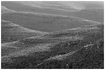 Desert ridges. Carlsbad Caverns National Park ( black and white)