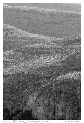 Ridges with desert vegetation. Carlsbad Caverns National Park (black and white)