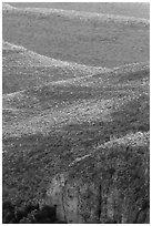 Ridges with desert vegetation. Carlsbad Caverns National Park ( black and white)