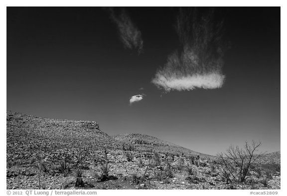 Cloud and blue skies above burned desert. Carlsbad Caverns National Park (black and white)