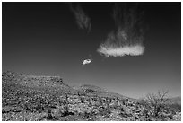 Cloud and blue skies above burned desert. Carlsbad Caverns National Park ( black and white)