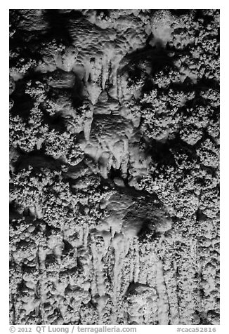 Cave popcorn detail. Carlsbad Caverns National Park, New Mexico, USA.