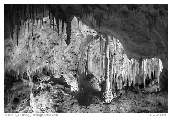 Painted Grotto. Carlsbad Caverns National Park (black and white)