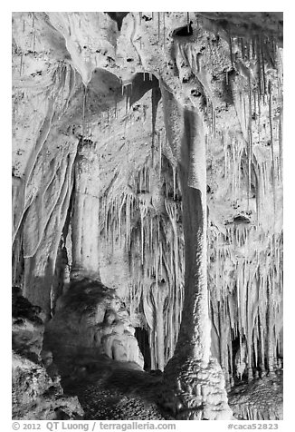 Delicate stalagtites with iron oxide staining in Painted Grotto. Carlsbad Caverns National Park (black and white)