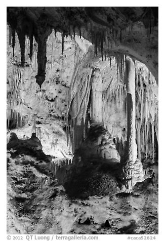 Calcite speleotherms and soda straws, Painted Grotto. Carlsbad Caverns National Park (black and white)