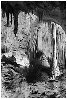 Calcite speleotherms and soda straws, Painted Grotto. Carlsbad Caverns National Park, New Mexico, USA. (black and white)