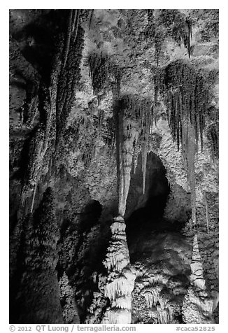 Chinese Theater. Carlsbad Caverns National Park (black and white)