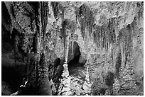 Pinnacles and columns, some shaped like pagoda spires. Carlsbad Caverns National Park, New Mexico, USA. (black and white)
