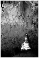 Delicate stalactites in Papoose Room. Carlsbad Caverns National Park, New Mexico, USA. (black and white)