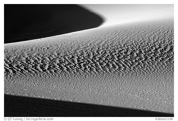 Sand patterns in Mesquite Sand dunes, early morning. Death Valley National Park (black and white)