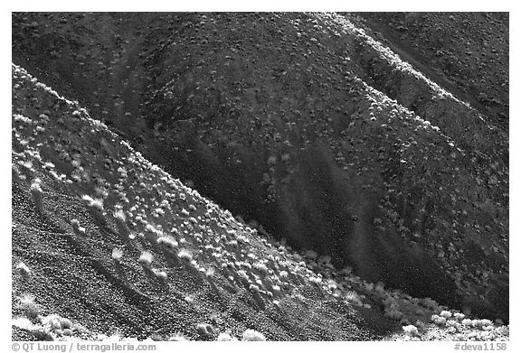 Hillsides and sagebrush. Death Valley National Park, California, USA.