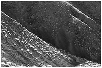 Hillsides and sagebrush. Death Valley National Park, California, USA. (black and white)