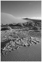 Mud formations in the Mesquite sand dunes, early morning. Death Valley National Park, California, USA. (black and white)