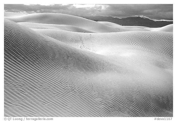 Mesquite Sand Dunes, morning. Death Valley National Park, California, USA.