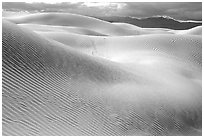 Mesquite Sand Dunes, morning. Death Valley National Park, California, USA. (black and white)